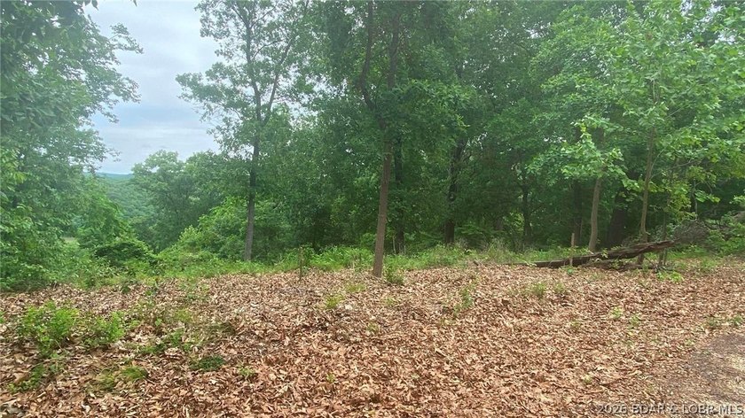 Looking for a build-ready lot overlooking Lake of the Ozarks - photo 4