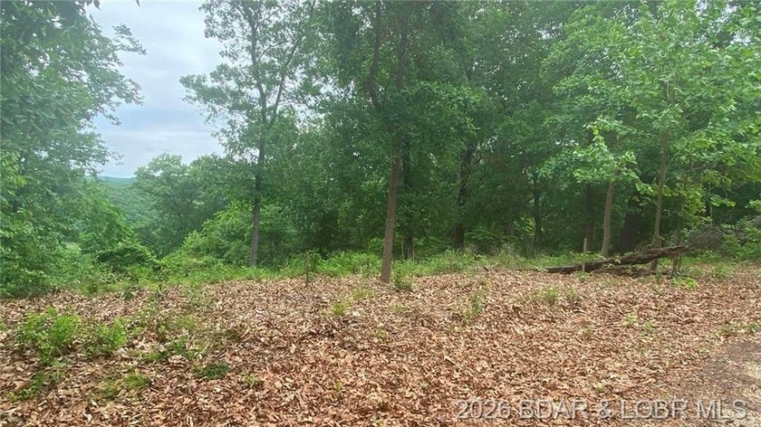 Looking for a build-ready lot overlooking Lake of the Ozarks - photo 4