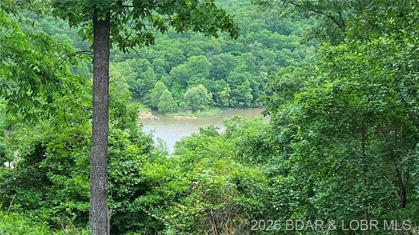 Looking for a build-ready lot overlooking Lake of the Ozarks - photo 5