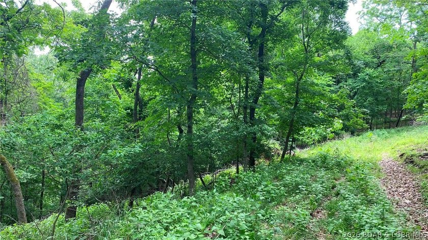 Looking for a build-ready lot overlooking Lake of the Ozarks - photo 7