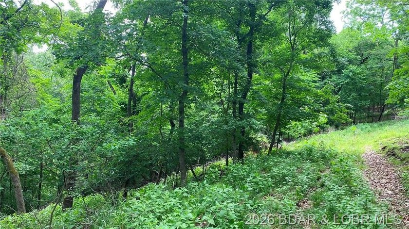 Looking for a build-ready lot overlooking Lake of the Ozarks - photo 7