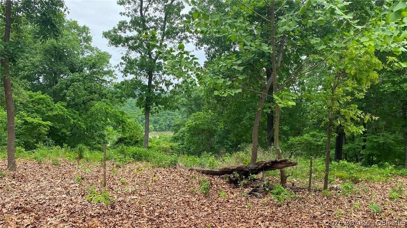 Looking for a build-ready lot overlooking Lake of the Ozarks - photo 8