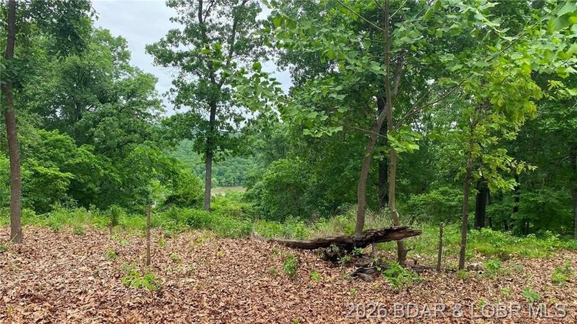 Looking for a build-ready lot overlooking Lake of the Ozarks - photo 8