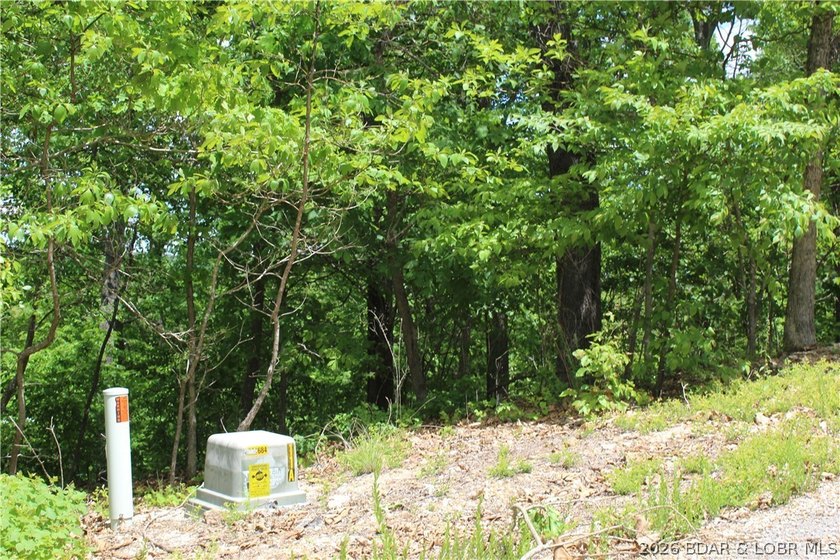 Looking for a build-ready lot overlooking Lake of the Ozarks - photo 10