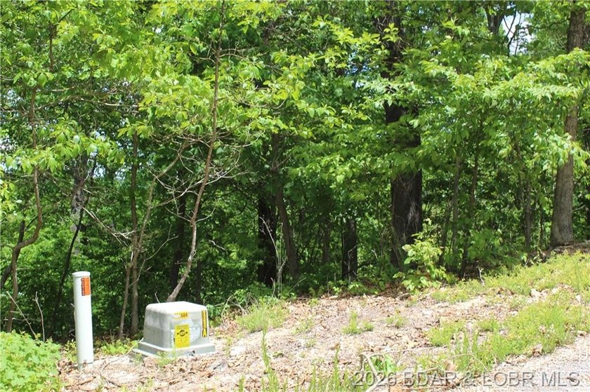 Looking for a build-ready lot overlooking Lake of the Ozarks - photo 10