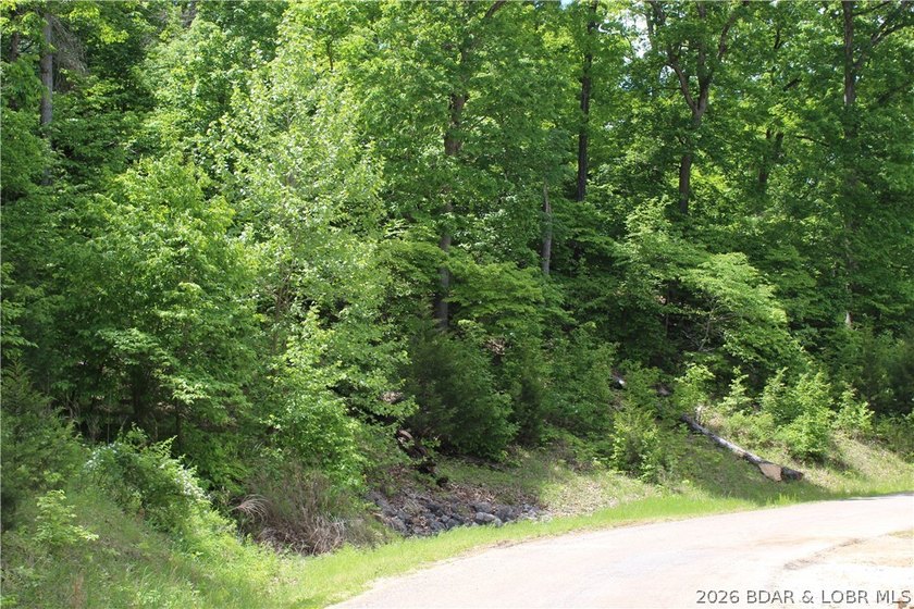 Looking for a large build-ready lot overlooking Lake of the - photo 4