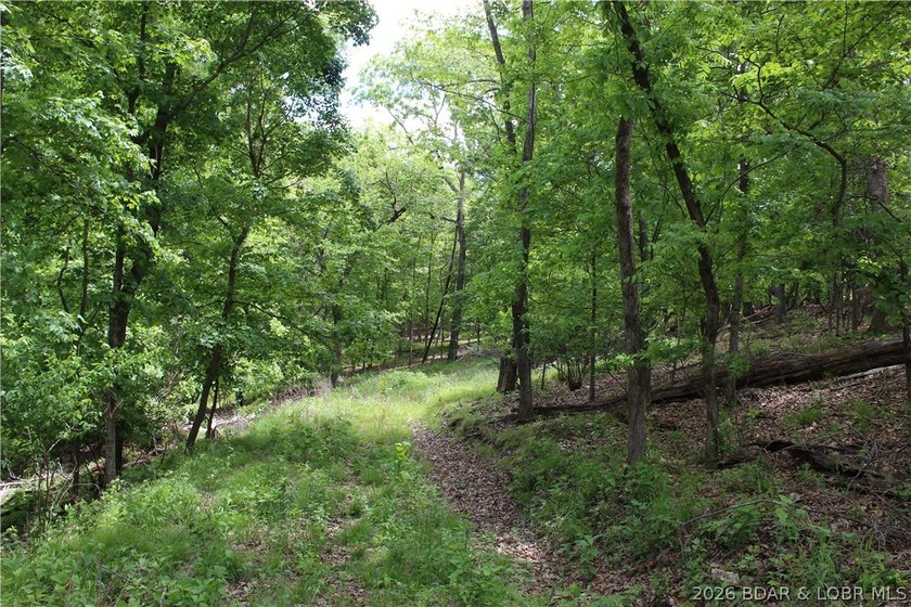 Looking for a large build-ready lot overlooking Lake of the - photo 6