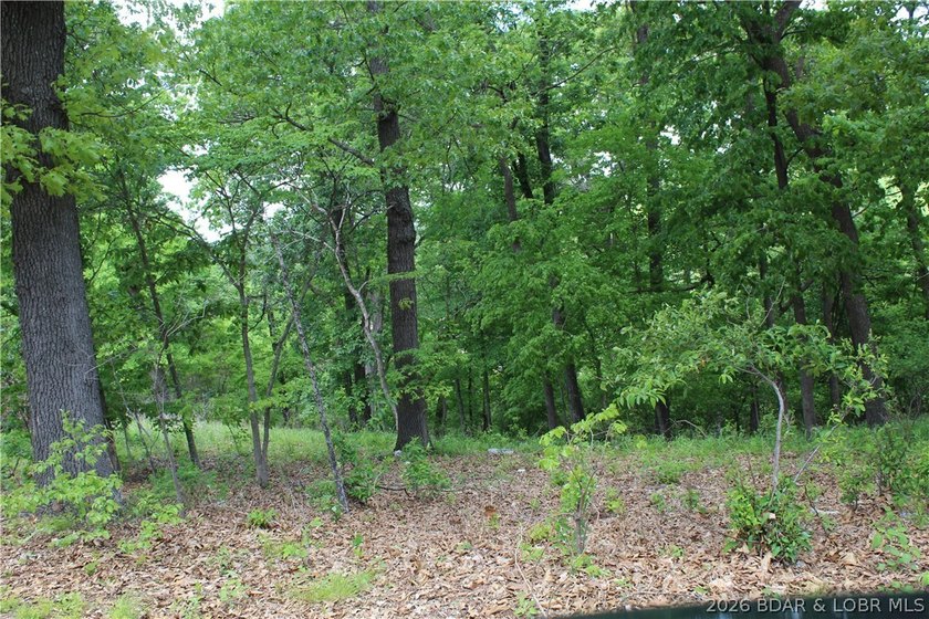Looking for a large build-ready lot overlooking Lake of the - photo 7