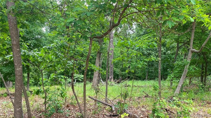 Looking for a large build-ready lot overlooking Lake of the - photo 9