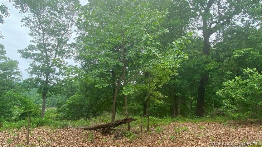 Looking for a large build-ready lot overlooking Lake of the - photo 10