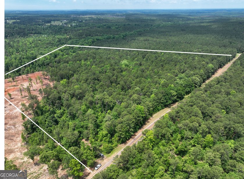 For sale 12.35 acres featuring a gorgeous mix of mature pines - photo 13