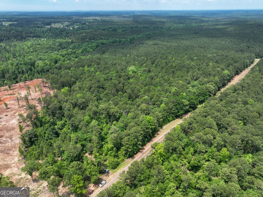 For sale 12.35 acres featuring a gorgeous mix of mature pines - photo 14
