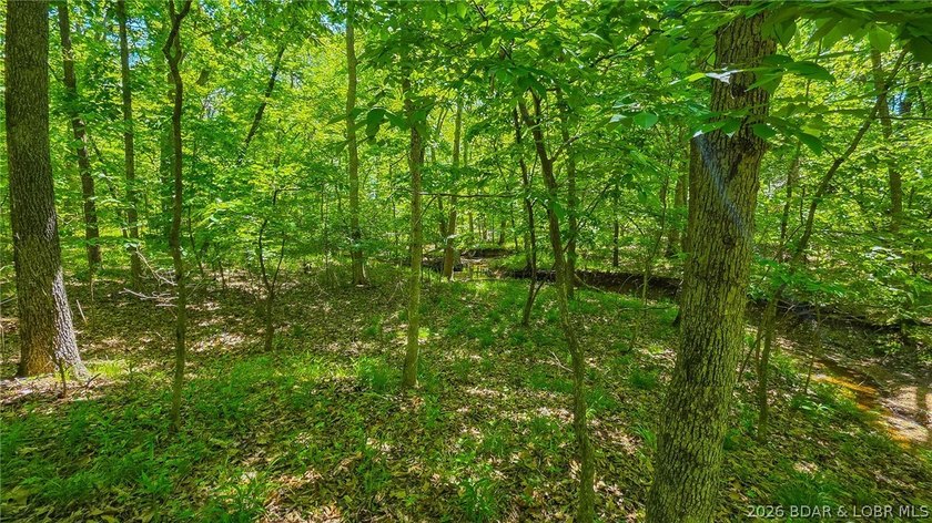 Premier Level Lot in Prestigious Porto Cima! Build your dream - photo 3