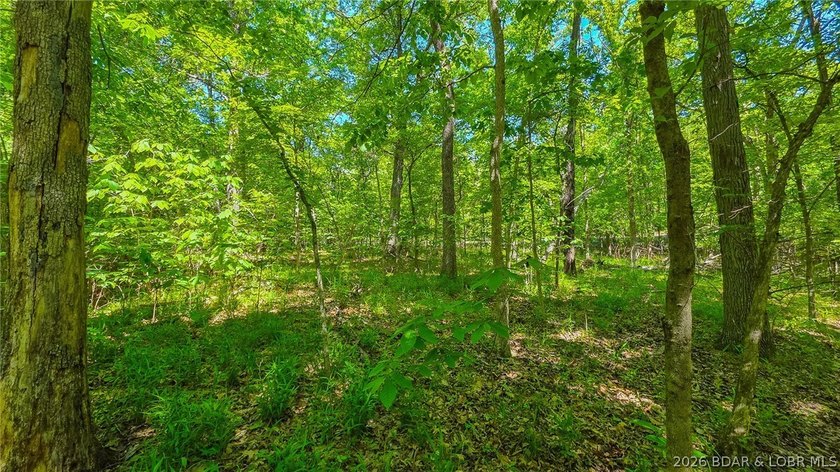 Premier Level Lot in Prestigious Porto Cima! Build your dream - photo 6