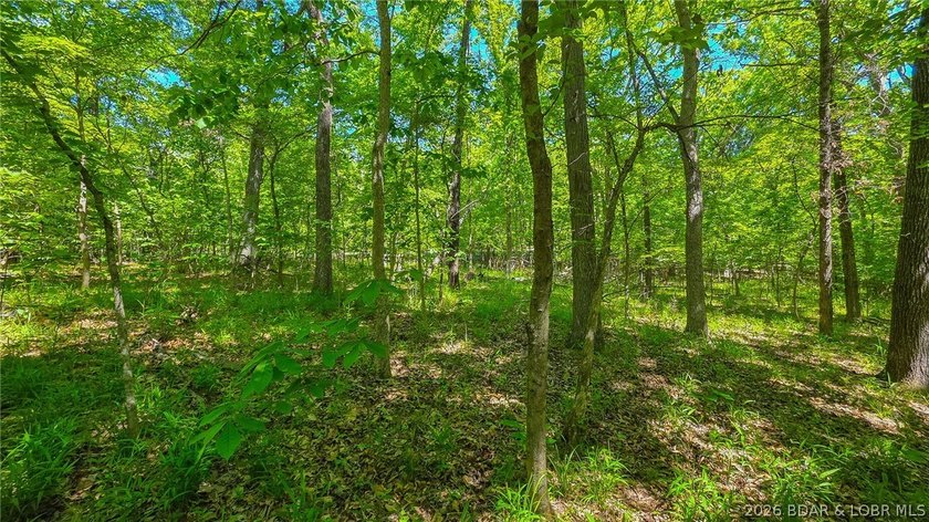 Premier Level Lot in Prestigious Porto Cima! Build your dream - photo 7