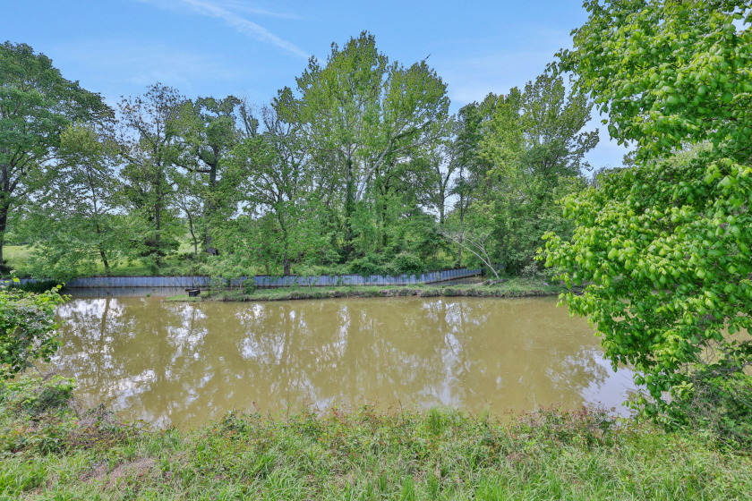 Two Waterfront Lots on a Cove in Coldspring Terrace SOLD - photo 13