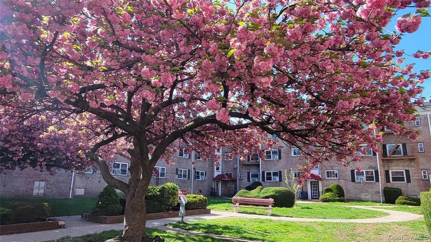 Welcome to this Garden style coop 3-story-brick building in the - photo 22