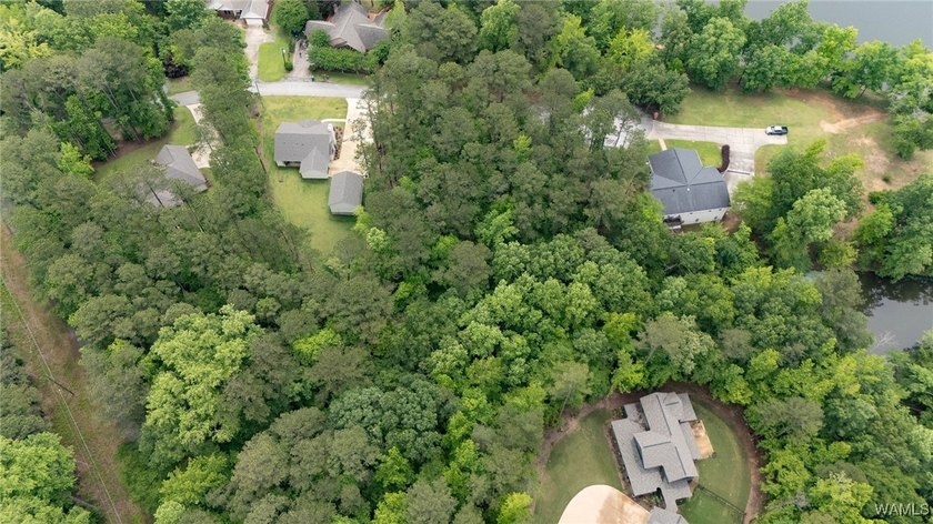 Build your dream home on this beautiful 0.45-acre lot located in - photo 34
