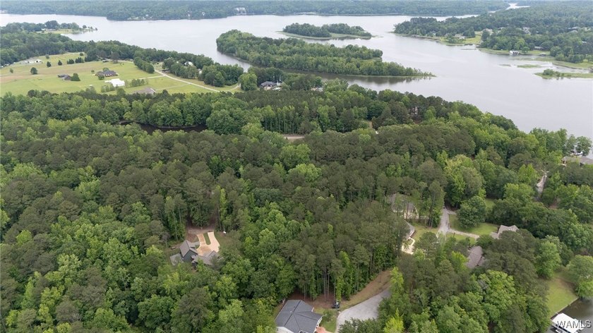 Build your dream home on this beautiful 0.45-acre lot located in - photo 42