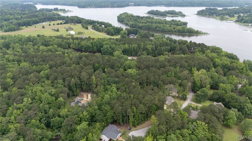 Build your dream home on this beautiful 0.45-acre lot located in - photo 43