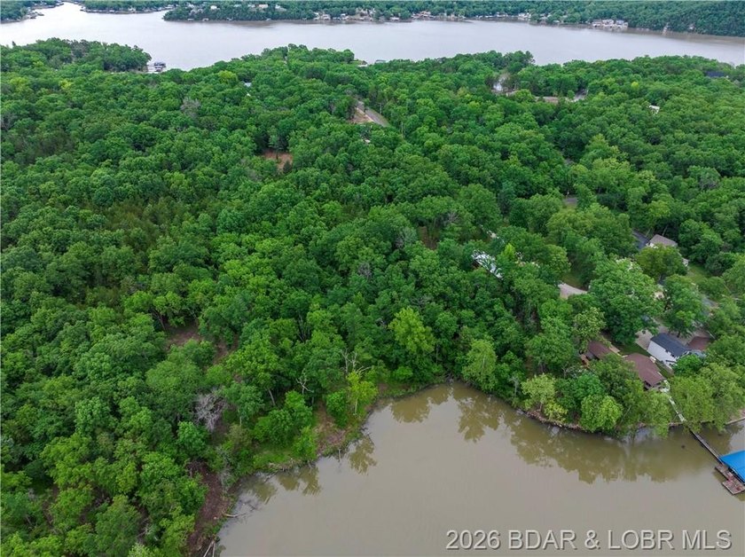 Large Lake Front Lot with 230 ft of Lake Front and 1.3 Acres - photo 4