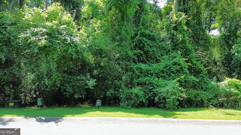 Build your dream home on this beautiful 1.9 acre unimproved lot - photo 2