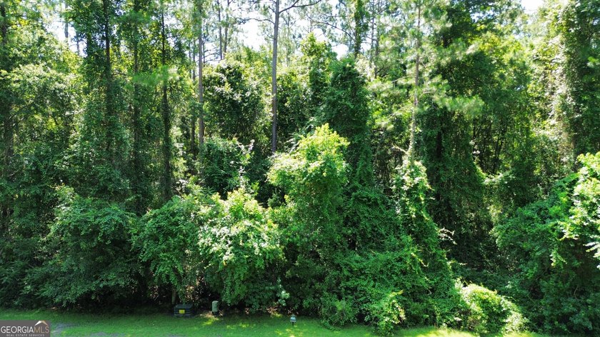 Build your dream home on this beautiful 1.9 acre unimproved lot - photo 3