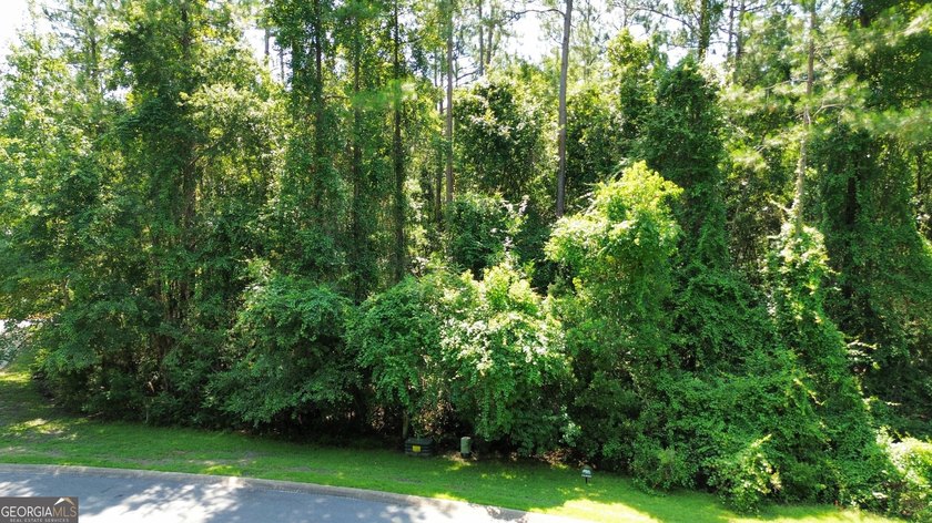 Build your dream home on this beautiful 1.9 acre unimproved lot - photo 5