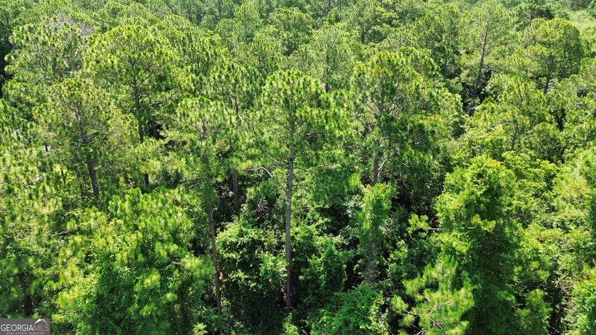 Build your dream home on this beautiful 1.9 acre unimproved lot - photo 6