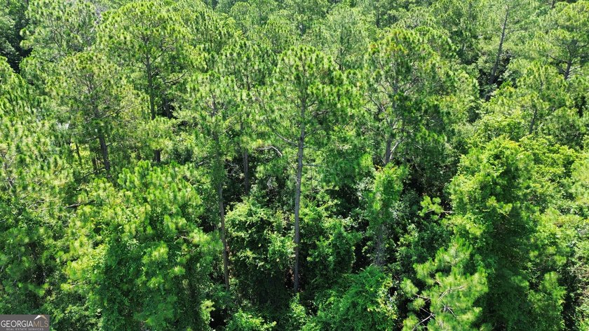 Build your dream home on this beautiful 1.9 acre unimproved lot - photo 7