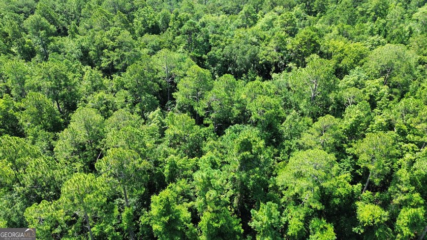 Build your dream home on this beautiful 1.9 acre unimproved lot - photo 10
