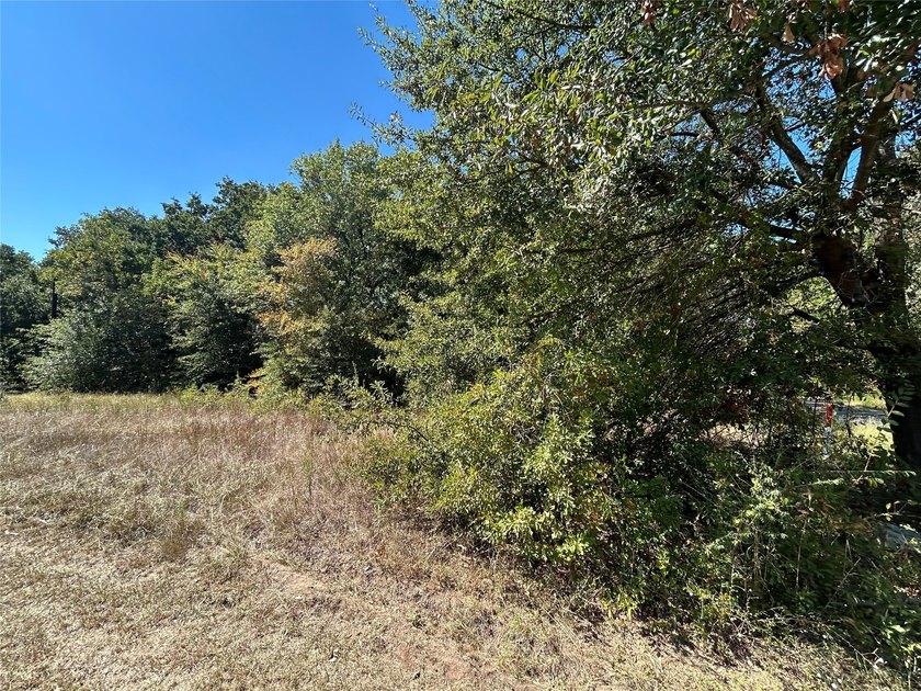 Discover the opportunity to own two adjoining corner lots in the - photo 4