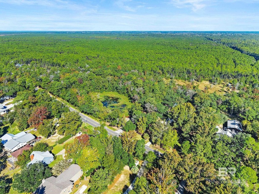 Partially cleared lot, located on the southern end of County - photo 3
