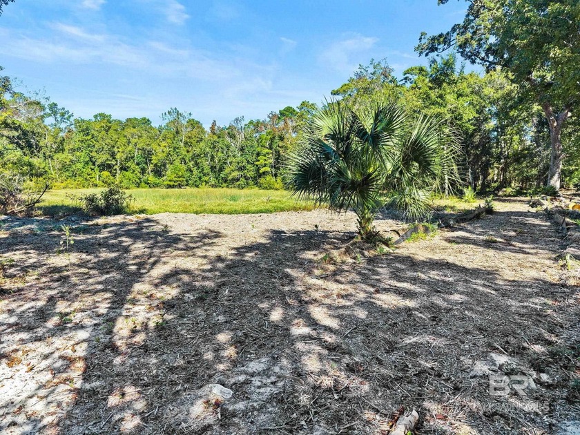 Partially cleared lot, located on the southern end of County - photo 8