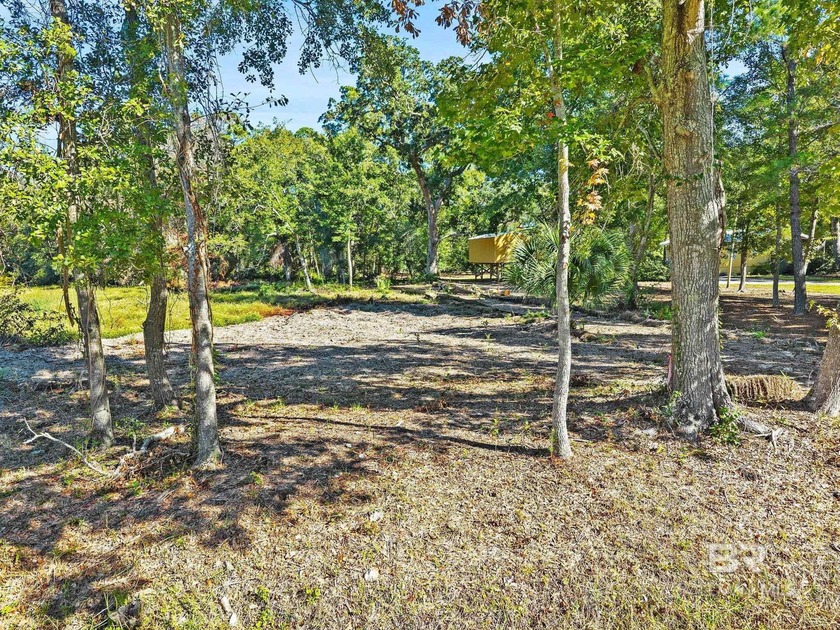 Partially cleared lot, located on the southern end of County - photo 10