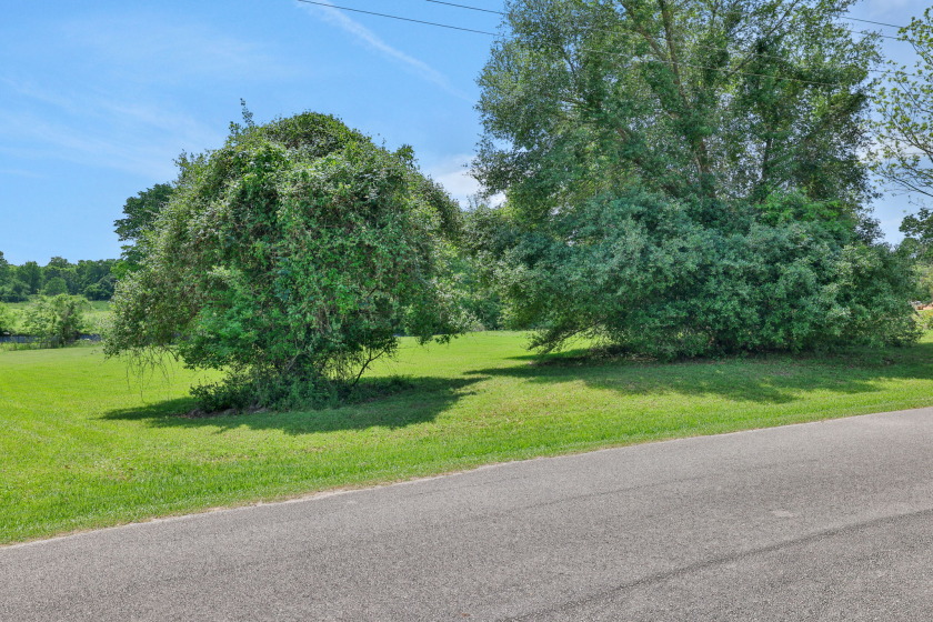 Two Waterfront Lots on a Cove in Coldspring Terrace SOLD - photo 15