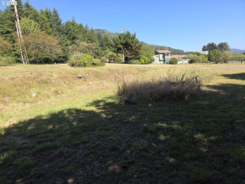 Prime 1.41-acre commercially zoned opportunity on the beautiful - photo 9