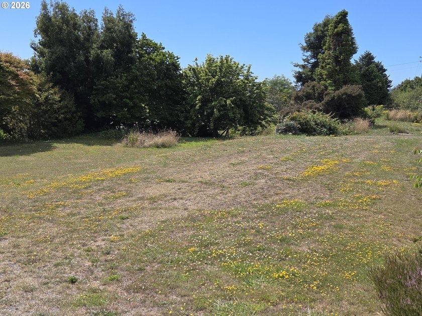 Prime 1.41-acre commercially zoned opportunity on the beautiful - photo 10