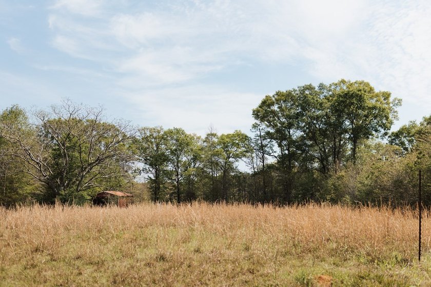 Beautiful 1.27 acre homesite offering a mix of open pasture and - photo 2