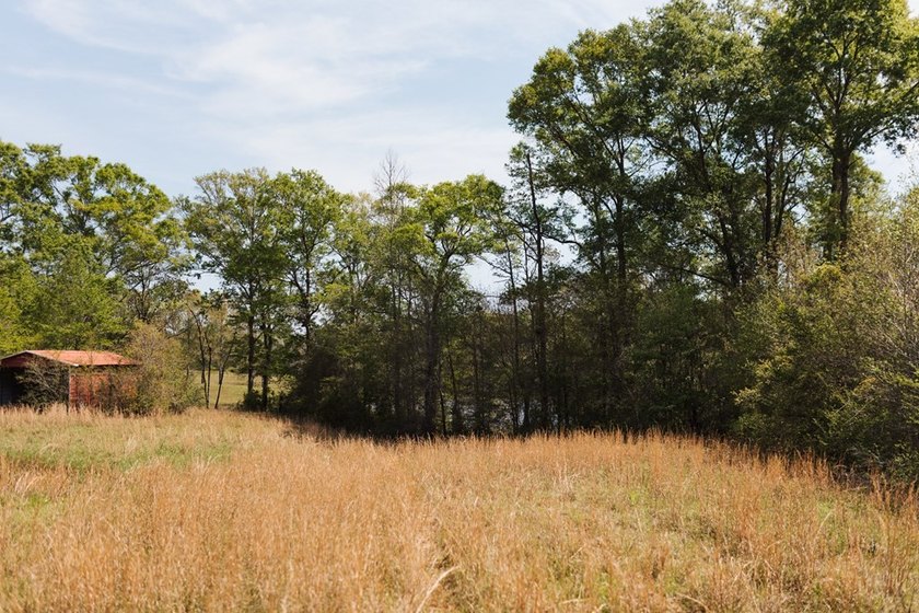 Beautiful 1.27 acre homesite offering a mix of open pasture and - photo 4