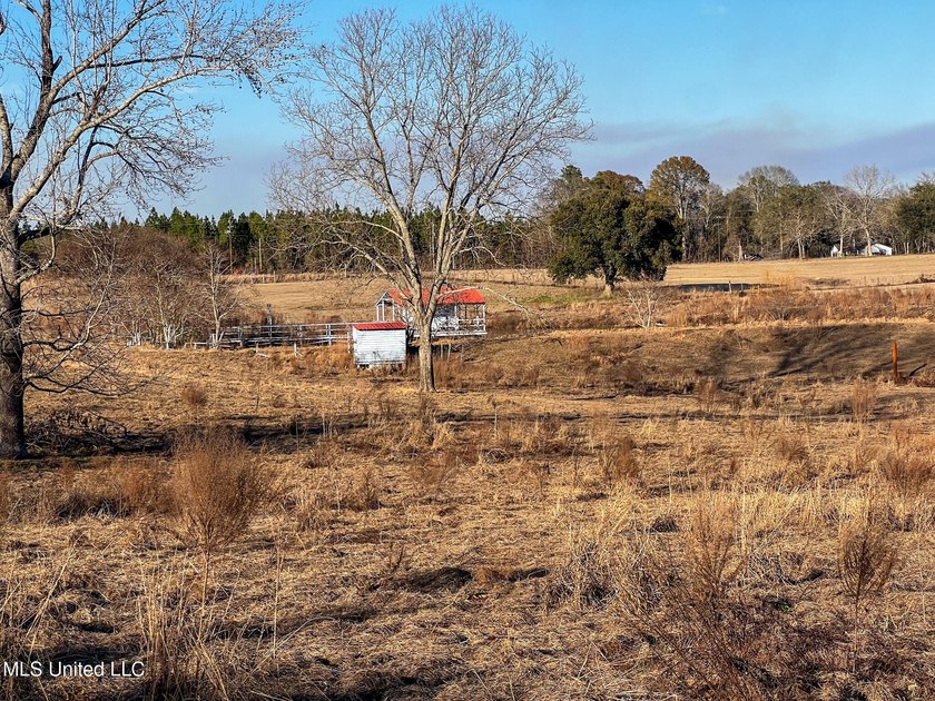 This prime real estate is a former cattle operation and is - photo 13