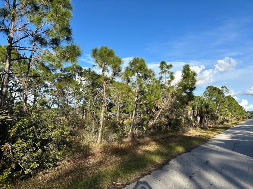 Build your dream home on this DOUBLE LOT located in fast - photo 4