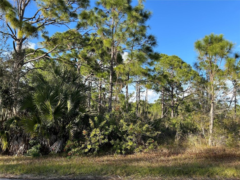 Build your dream home on this DOUBLE LOT located in fast - photo 6
