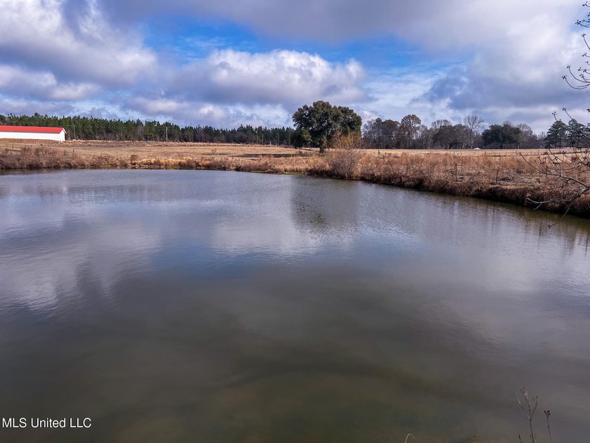 This prime real estate is a former cattle operation and is - photo 18