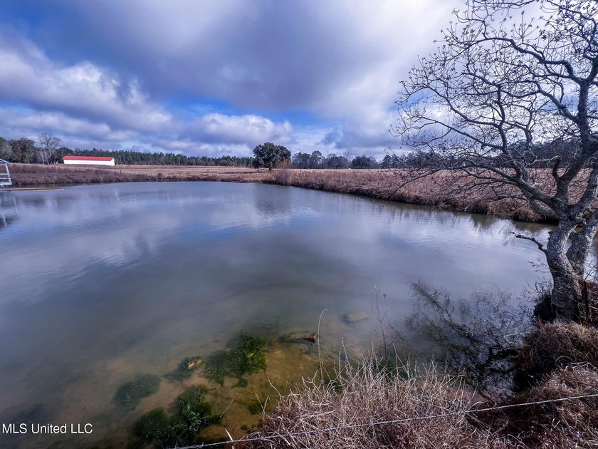 This prime real estate is a former cattle operation and is - photo 19