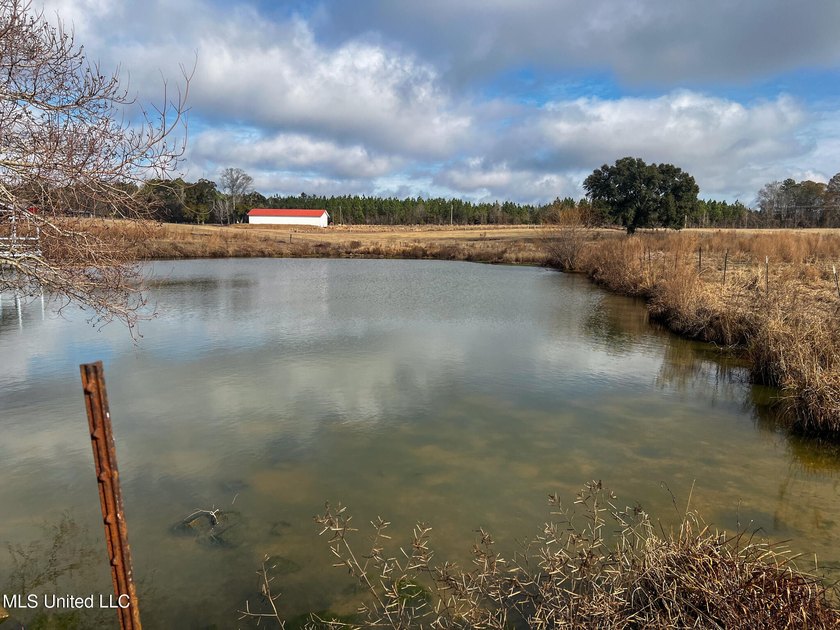 This prime real estate is a former cattle operation and is - photo 20