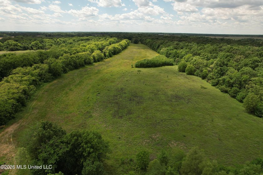 145+/- acres for sale in Coahoma County, located on Jenkins Road - photo 11