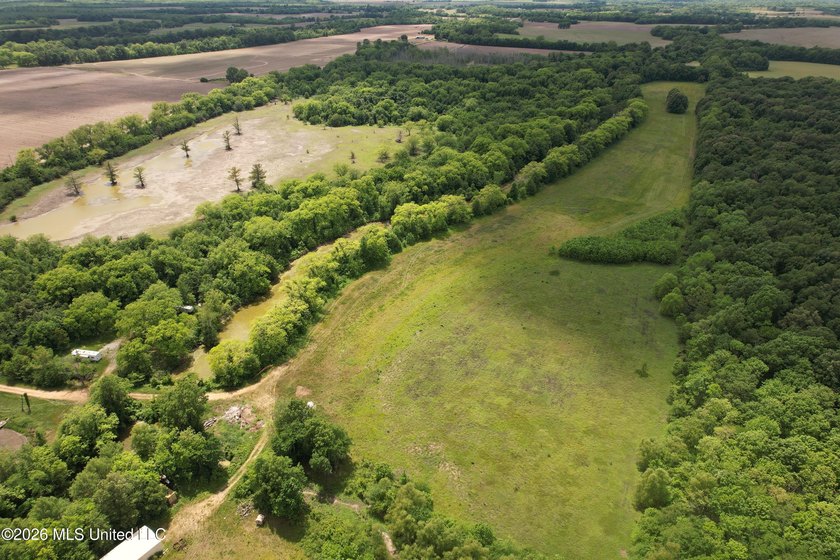 145+/- acres for sale in Coahoma County, located on Jenkins Road - photo 12