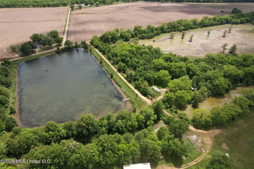 145+/- acres for sale in Coahoma County, located on Jenkins Road - photo 13