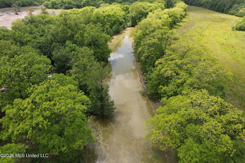 145+/- acres for sale in Coahoma County, located on Jenkins Road - photo 16